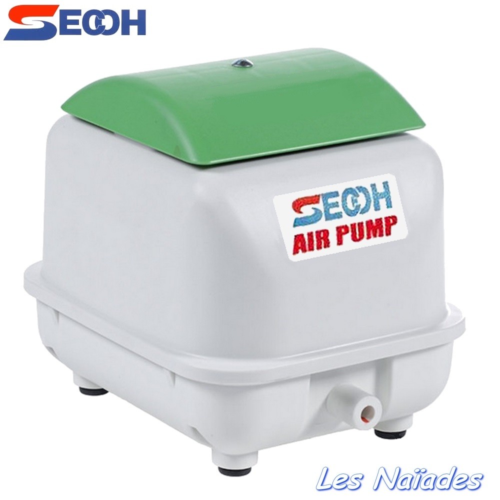 Secoh store air pump